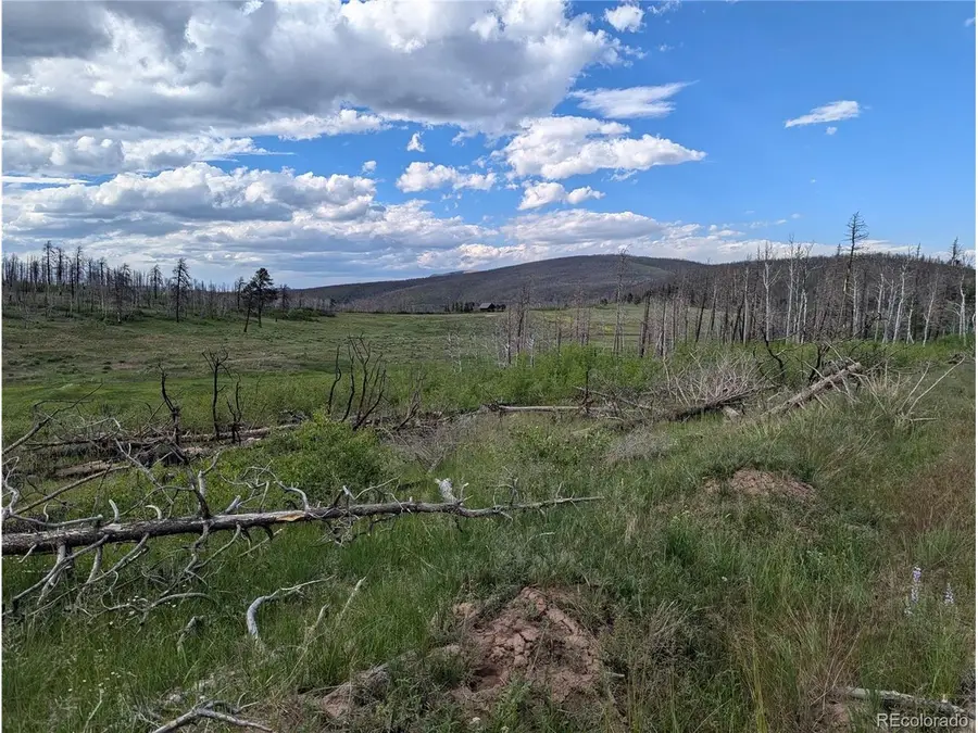 1692 Trimm Pl, Fort Garland, CO 81133 - #2
