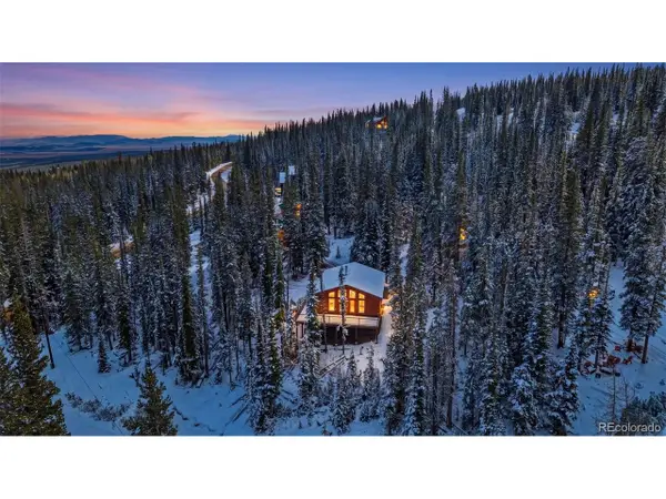 767 Valley Of The Sun Dr, Fairplay, CO 80440