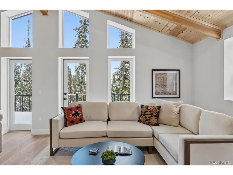 767 Valley Of The Sun Dr, Fairplay, CO 80440 - #2