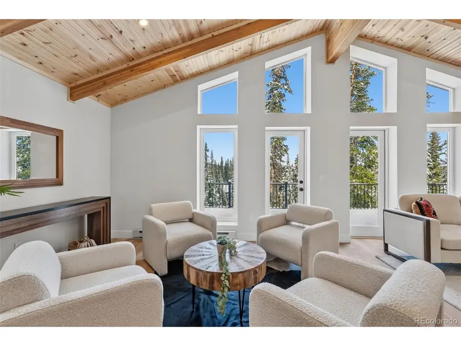 767 Valley Of The Sun Dr, Fairplay, CO 80440 - #3