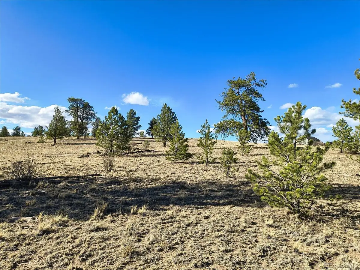 415 Olympic Cir, Hartsel, CO 80449 - #1