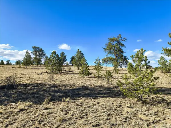 415 Olympic Cir, Hartsel, CO 80449