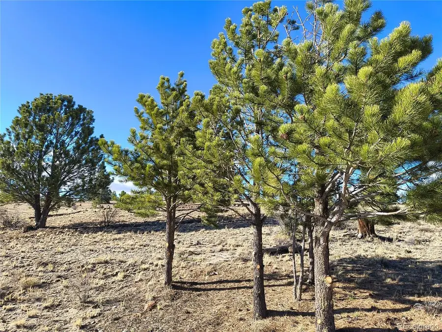 415 Olympic Cir, Hartsel, CO 80449 - #2