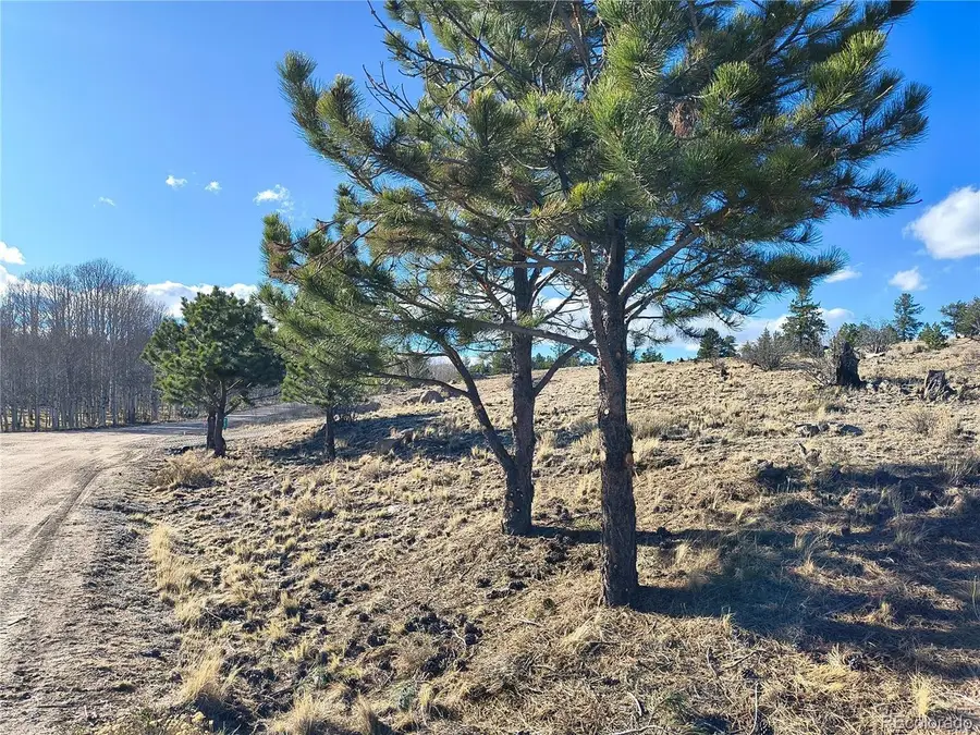 415 Olympic Cir, Hartsel, CO 80449 - #3