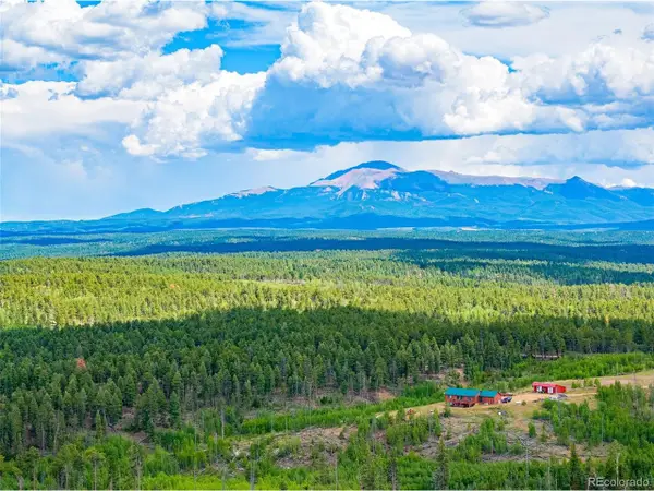 4 County Road 51, Florissant, CO 80816