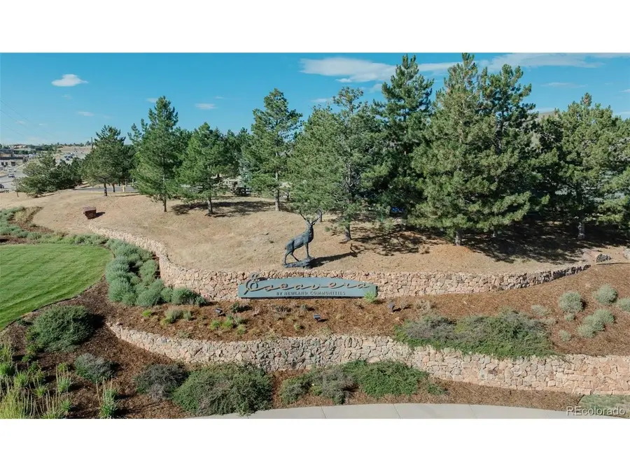 2445 Saddleback Dr, Castle Rock, CO 80104 - #2