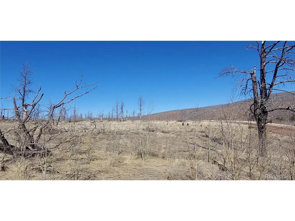 1566 Cary Ln, Fort Garland, CO 81133 - Image #1