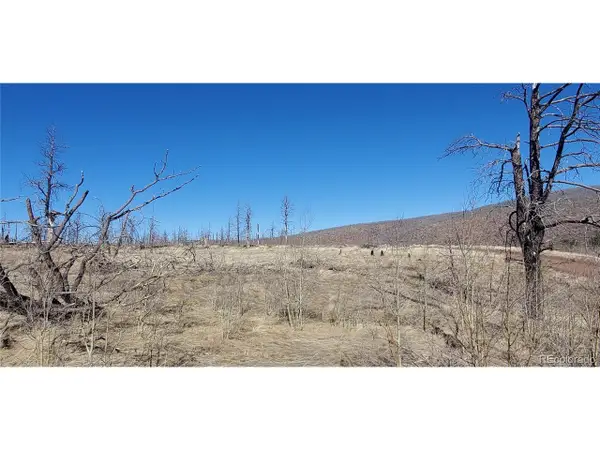 1566 Cary Ln, Fort Garland, CO 81133