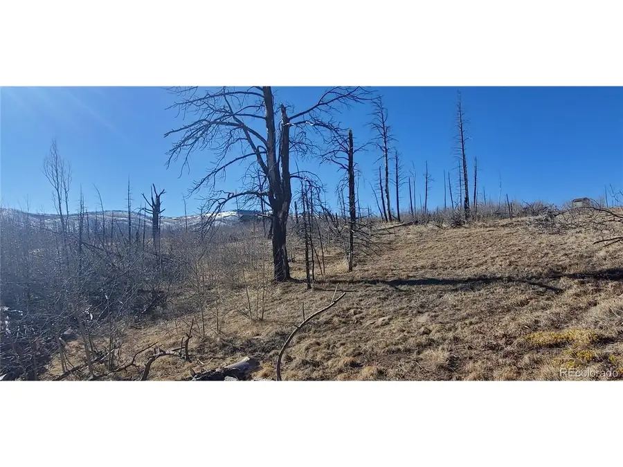 1566 Cary Ln, Fort Garland, CO 81133 - Image #3