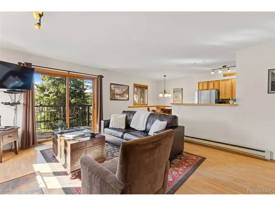 Address Withheld By Seller, Breckenridge, CO 80424 - #3