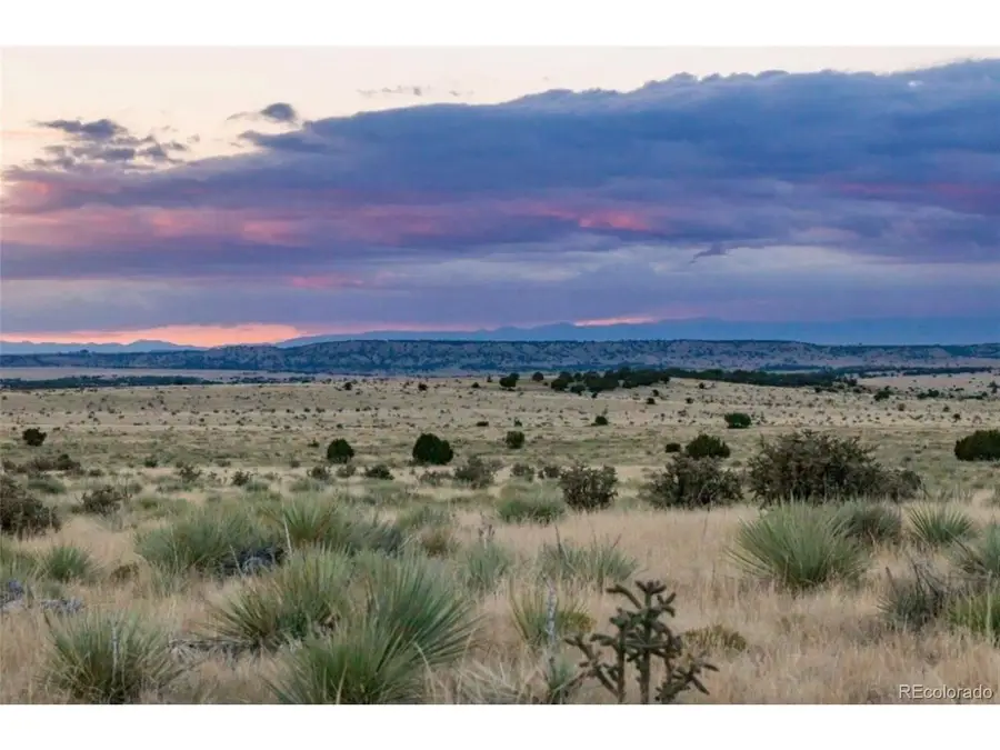 232 Turkey Ridge Ranch, Walsenburg, CO 81089 - #2