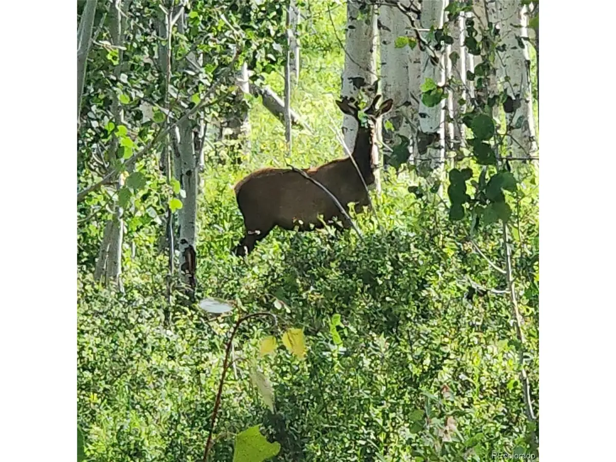 0 Zs Rd, Whitewater, CO 81527 - Image #1