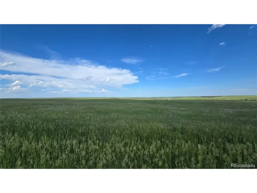 29130 County Road 153, Agate, CO 80101 - #2