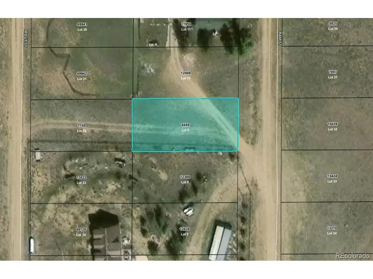 Ram St, Hartsel, CO 80449 - #1