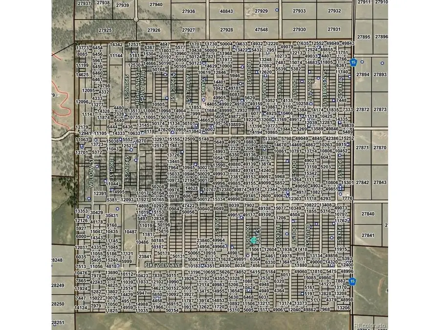 Ram St, Hartsel, CO 80449 - #3