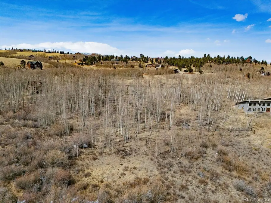 1555 Sheep Ridge Rd, Fairplay, CO 80440 - #3