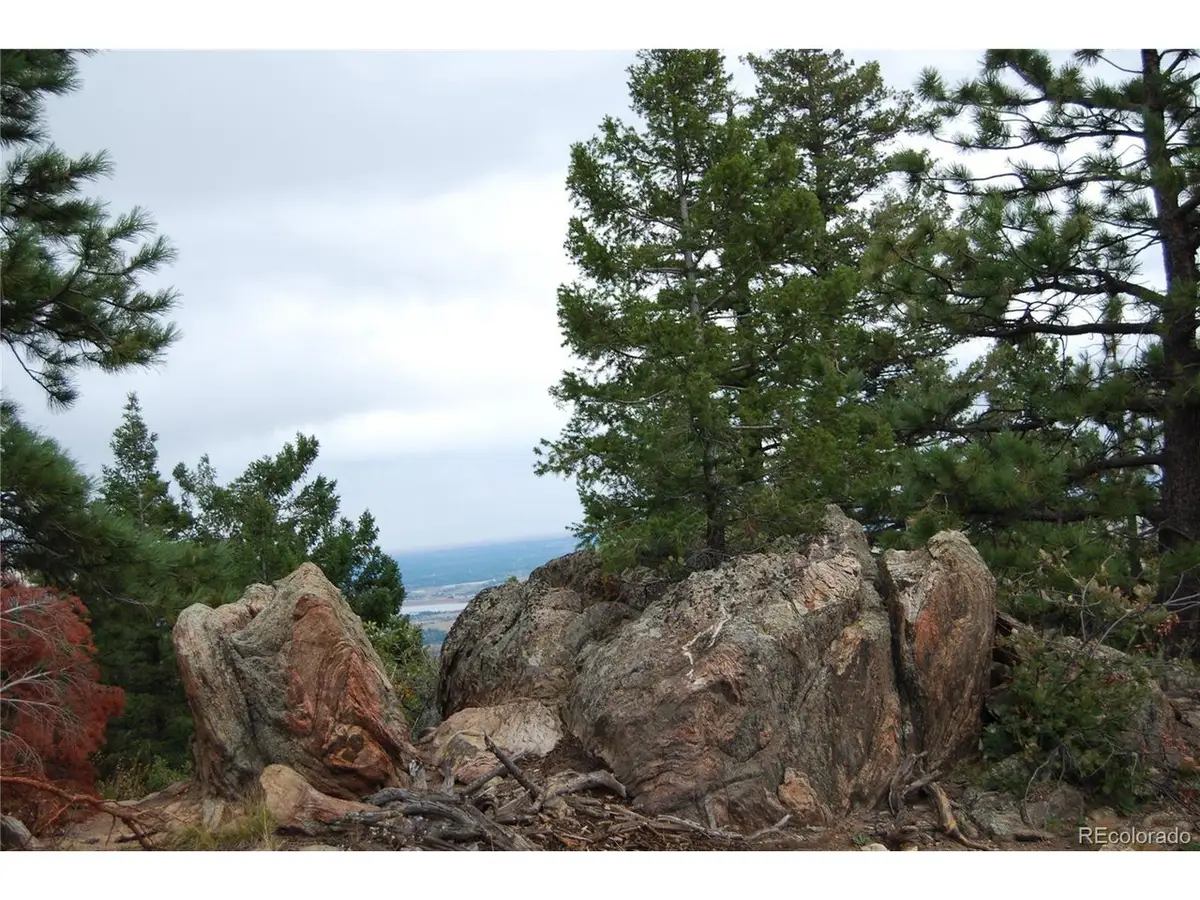 13927 Dancing Bear Trl, Littleton, CO 80127 - #1