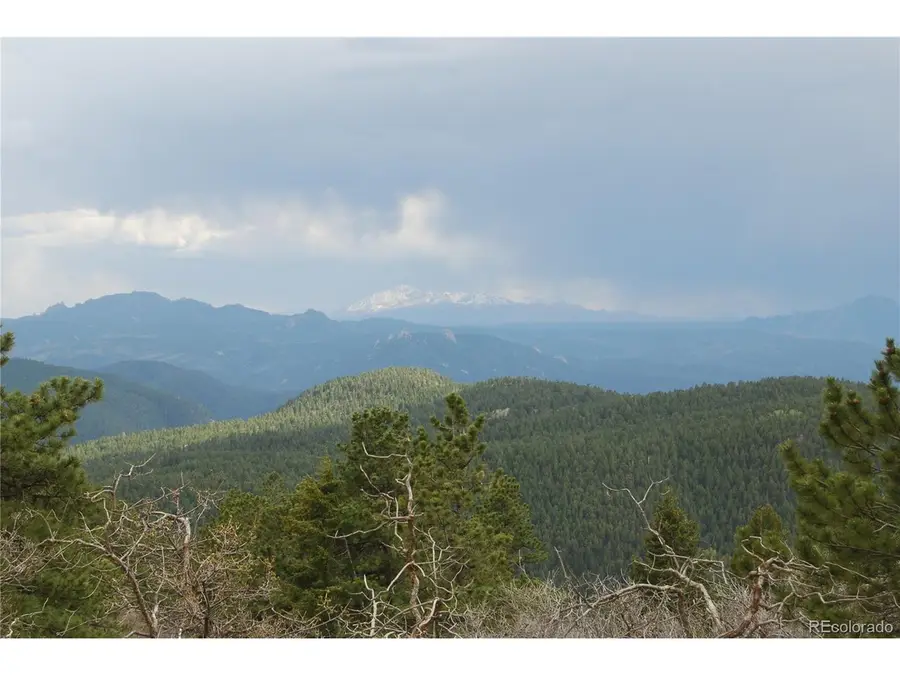 13927 Dancing Bear Trl, Littleton, CO 80127 - #3