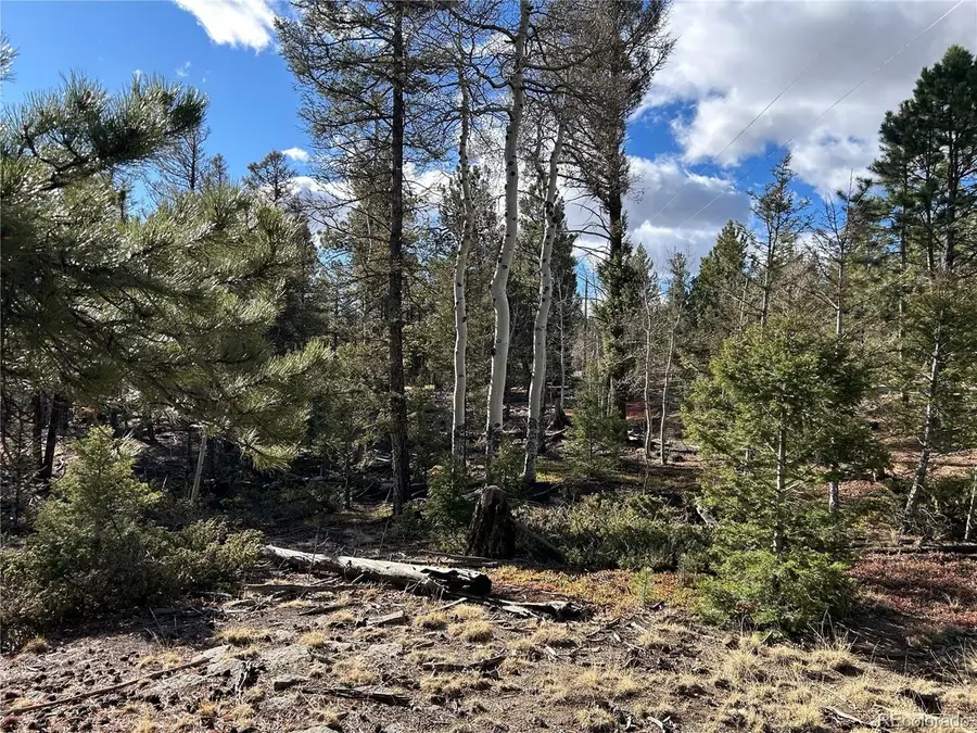 1581 Bellows Rd, Hartsel, CO 80449 - #2