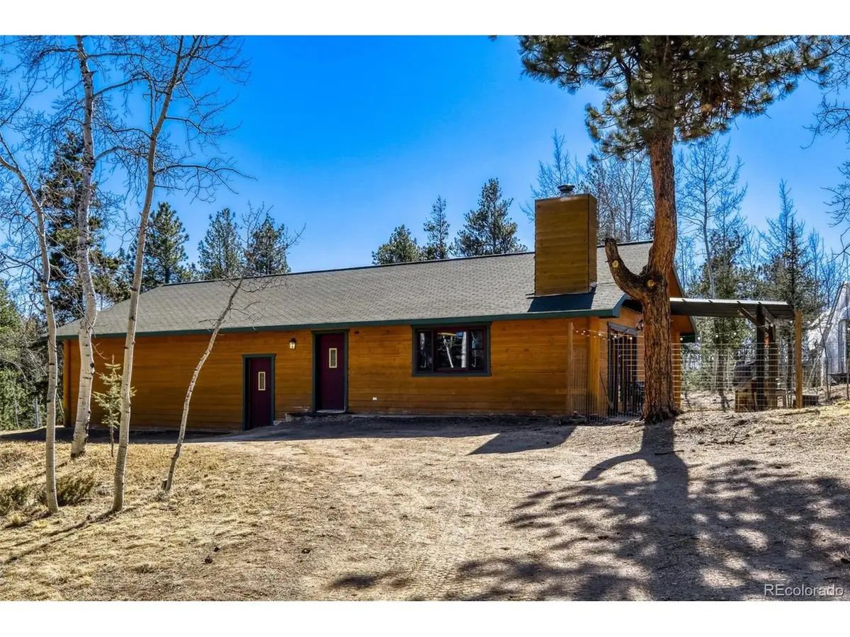 140 Wrangler Creek Cir, Florissant, CO 80816 - #1