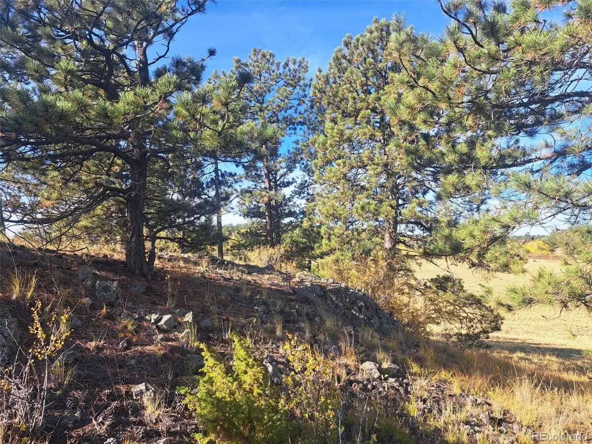 2151 County Road 403, Lake George, CO 80827 - #1