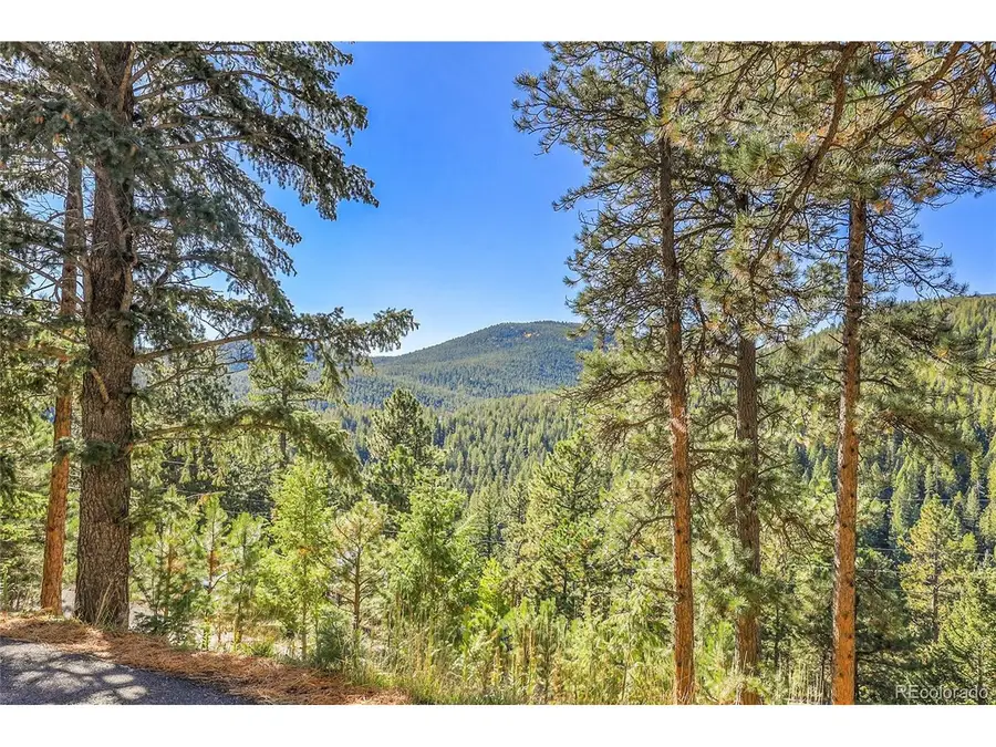 32857 Little Cub Rd, Evergreen, CO 80439 - #3