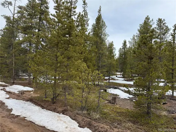 322 Fir Dr, Twin Lakes, CO 80461