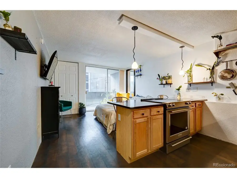 909 N Logan St #3C, Denver, CO 80203 - #3