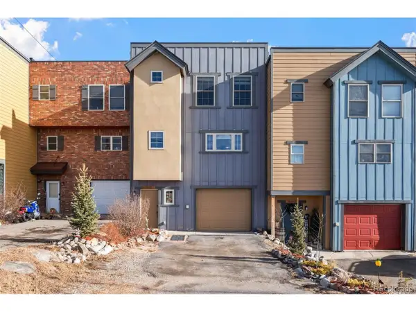 383 8th St, Fairplay, CO 80440