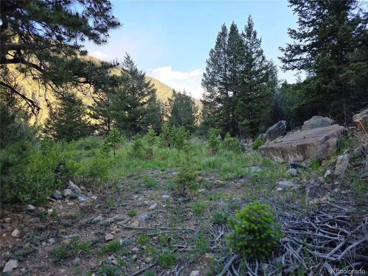 1784 Main, Georgetown, CO 80444 - #1