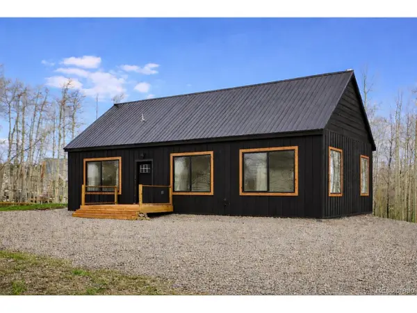 3538 High Creek Rd, Fairplay, CO 80440