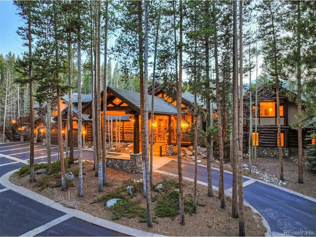 263 Tarnwood Dr, Breckenridge, CO 80424 - #1