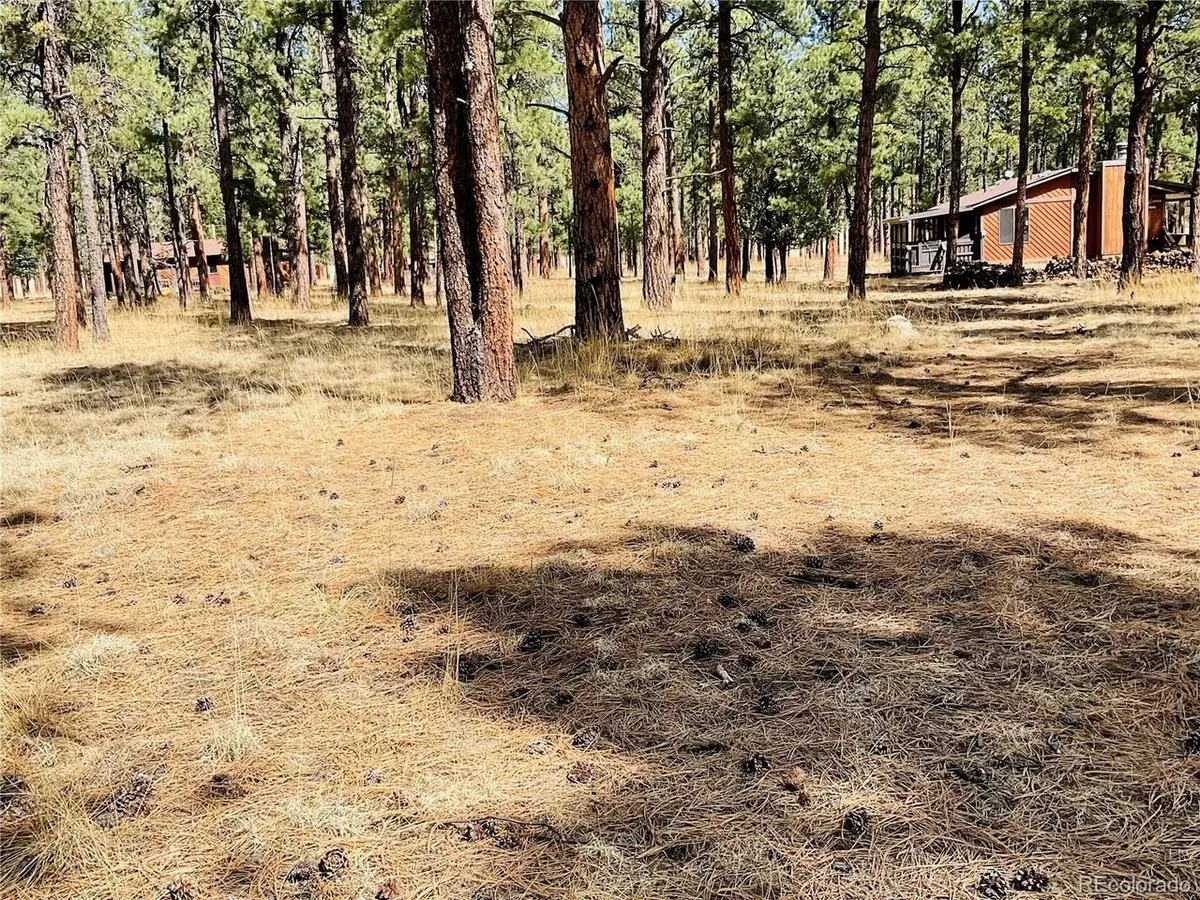 Blk2 Lot 7, Weston, CO 81091 - #1