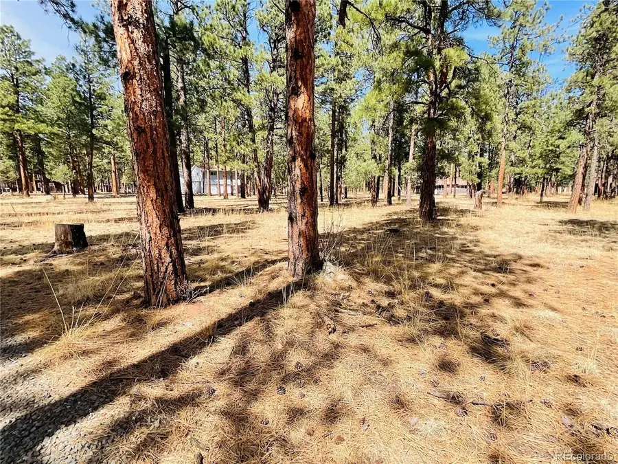 Blk2 Lot 7, Weston, CO 81091 - #2