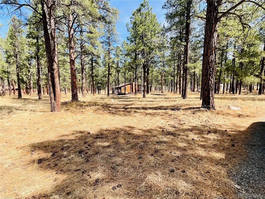 Blk2 Lot 7, Weston, CO 81091 - #3