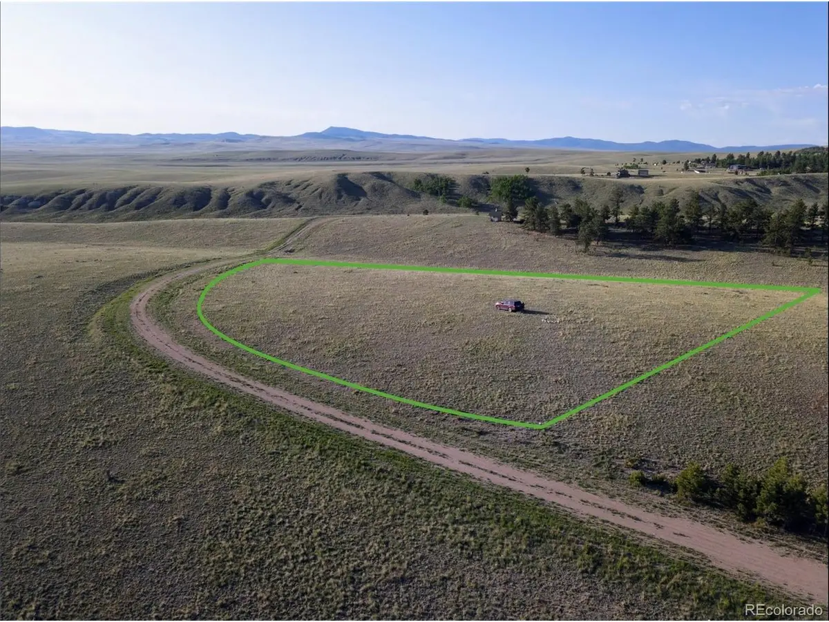 767 Brahma Cir, Hartsel, CO 80449 - #1