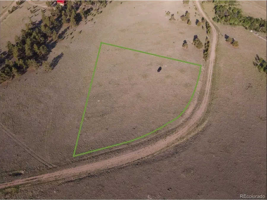 767 Brahma Cir, Hartsel, CO 80449 - #2