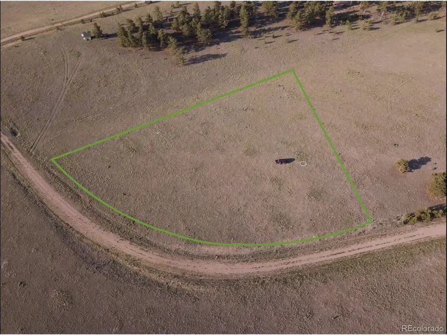 767 Brahma Cir, Hartsel, CO 80449 - #3