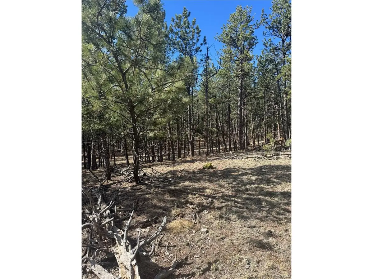 642 Matterhorn Dr, Florissant, CO 80816 - #1