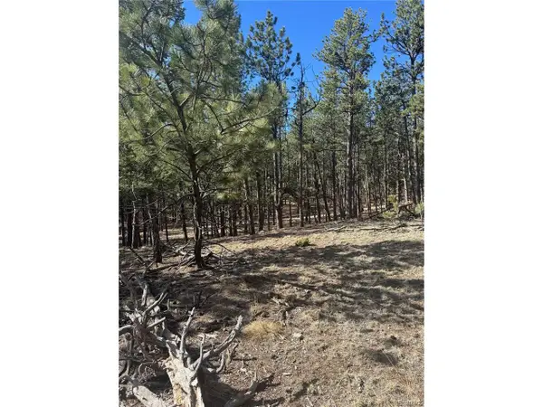 642 Matterhorn Dr, Florissant, CO 80816