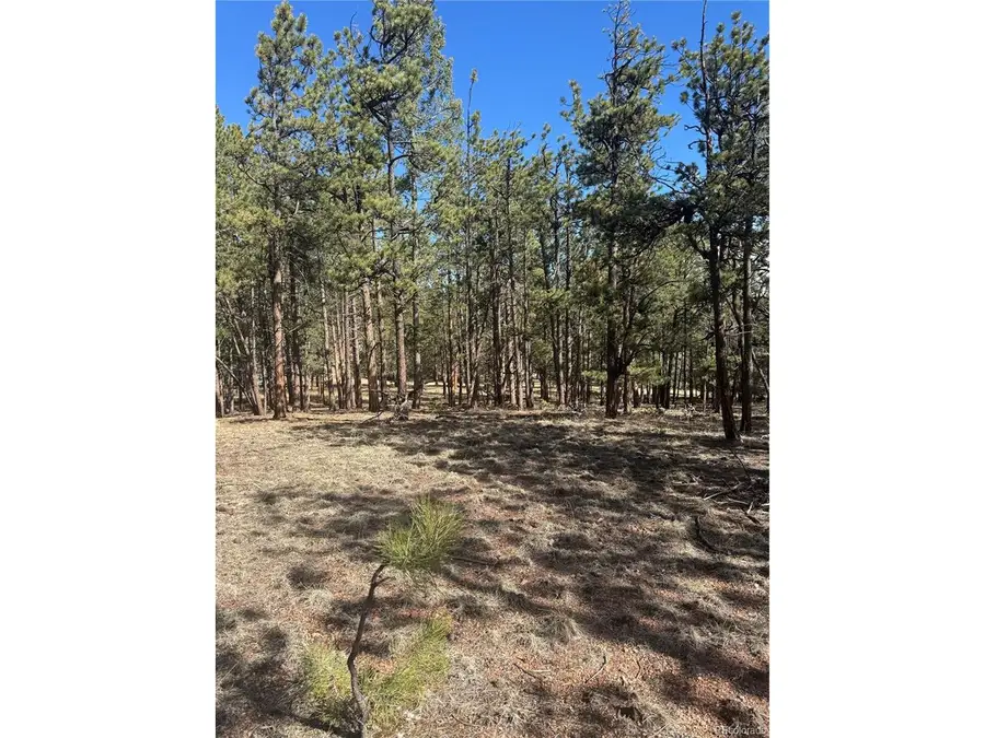 642 Matterhorn Dr, Florissant, CO 80816 - #3