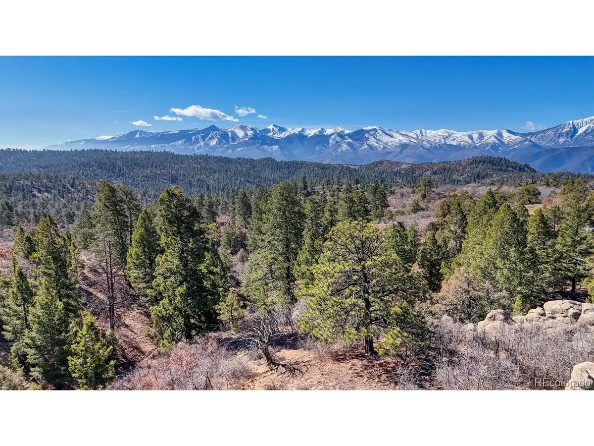 268 Basin Dr, Cotopaxi, CO 81223 - #1