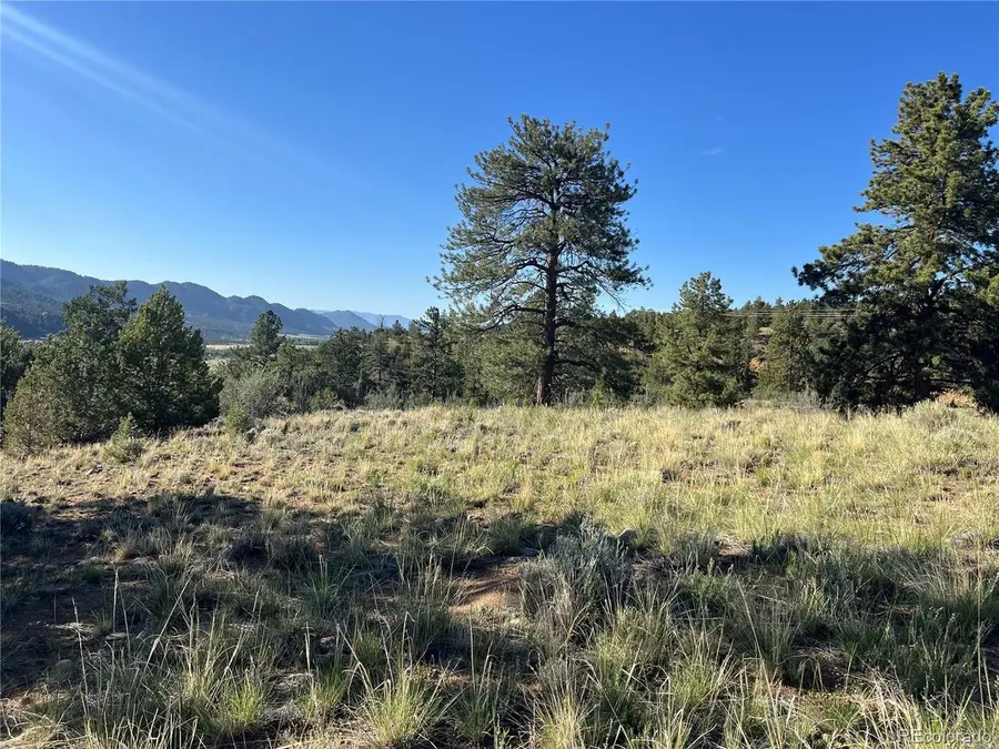 18322 S Lake Rd, Buena Vista, CO 81211 - #2