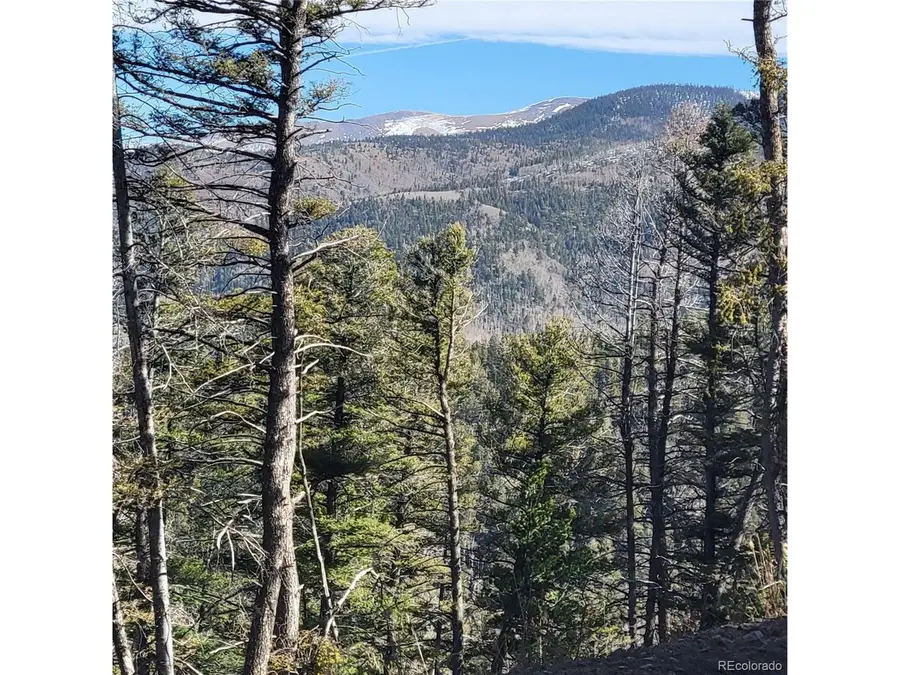 5213 Taylor Rd, Fort Garland, CO 81133 - #2