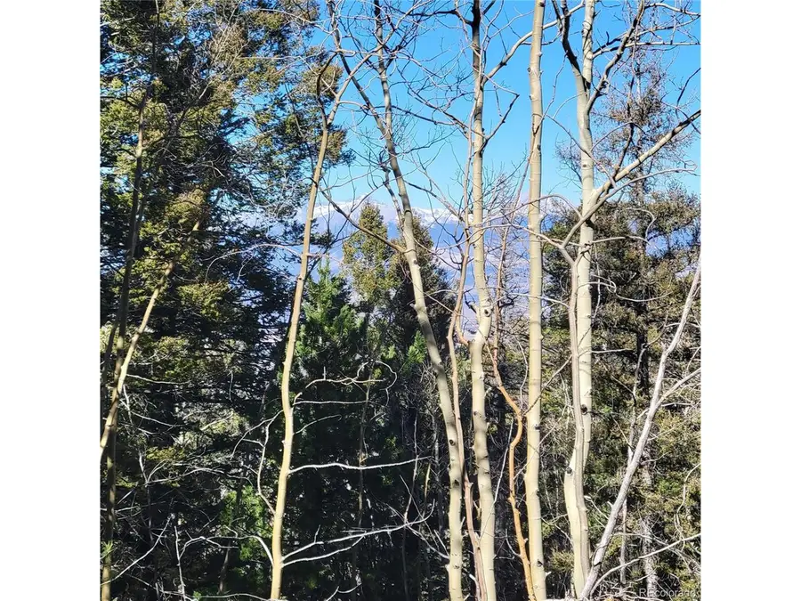 5213 Taylor Rd, Fort Garland, CO 81133 - #3