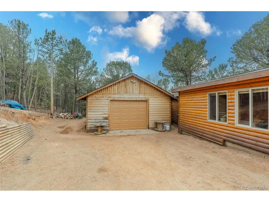 847 Timber Ridge Rd, Divide, CO 80814 - #3