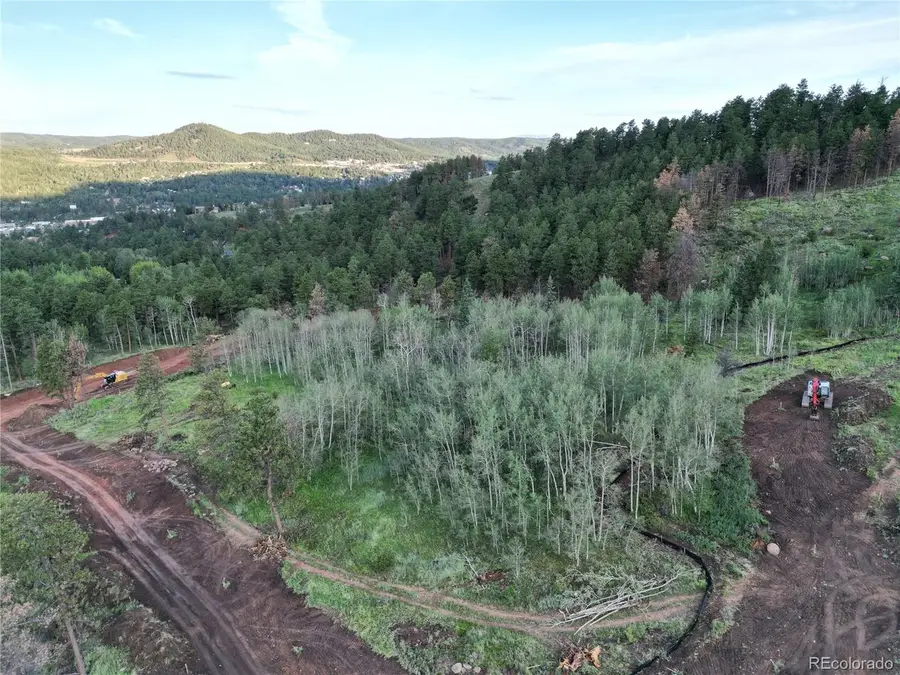 9 Blue Haven Or Red Haven Pl, Woodland Park, CO 80863 - #3