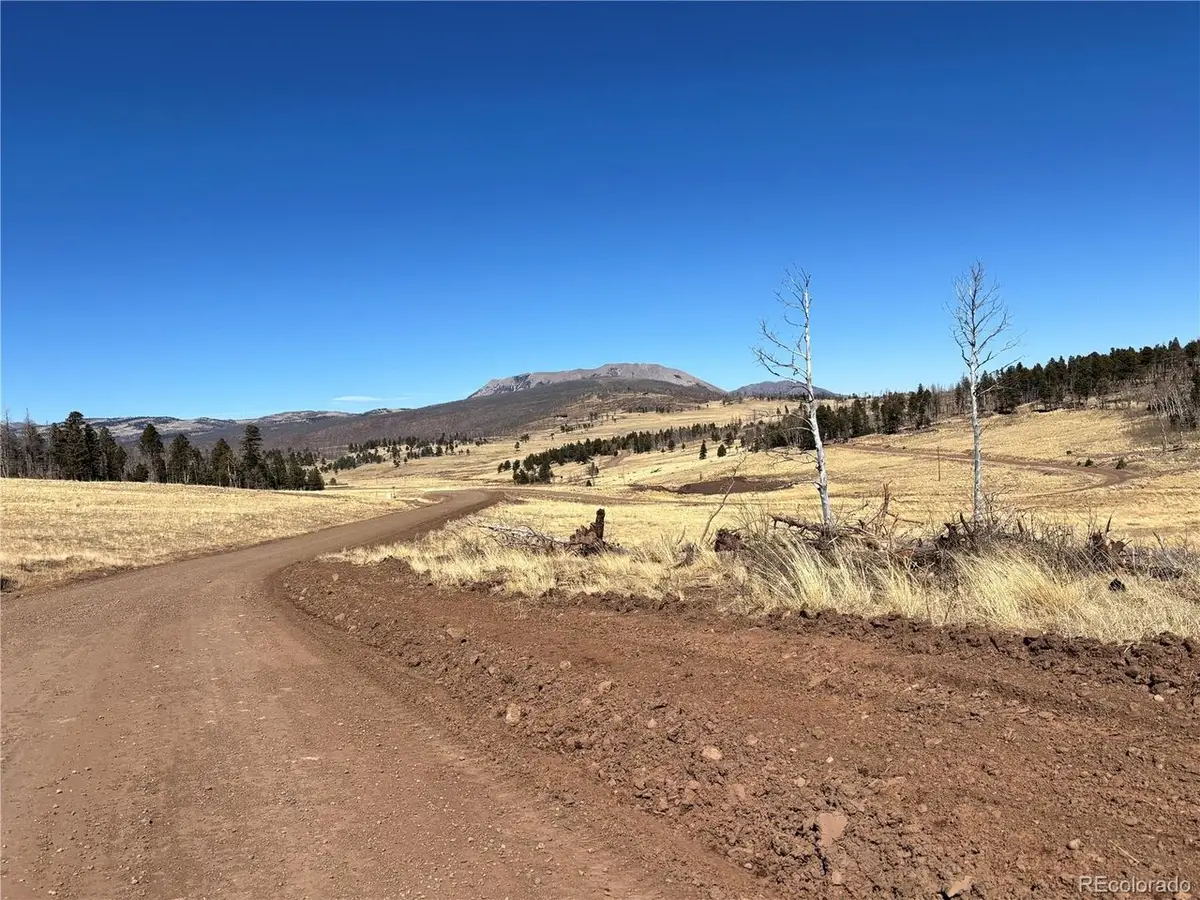 0 Forbes Park Rd., Fort Garland, CO 81133 - #1