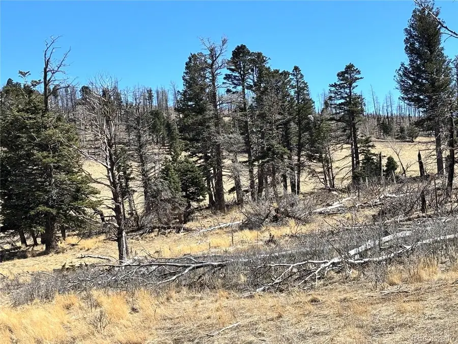 0 Forbes Park Rd., Fort Garland, CO 81133 - #3