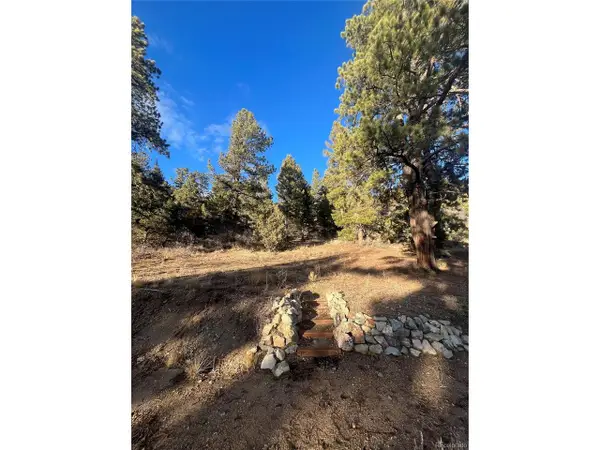 Forbes Rd, Fort Garland, CO 81133